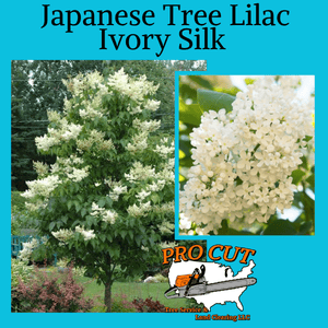Pro Cut Tree Service Logo